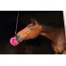 Игрушка BIZZY HORSE