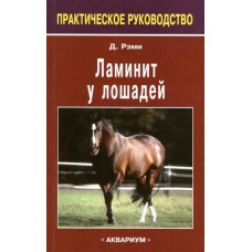 Ламинит у лошадей Ламинит у лошадей