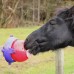 Настенный держатель TONGUE TWISTER Настенный держатель TONGUE TWISTER