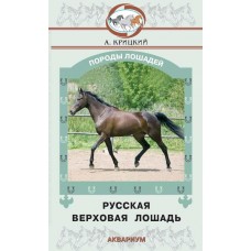 Русская верховая лошадь Русская верховая лошадь